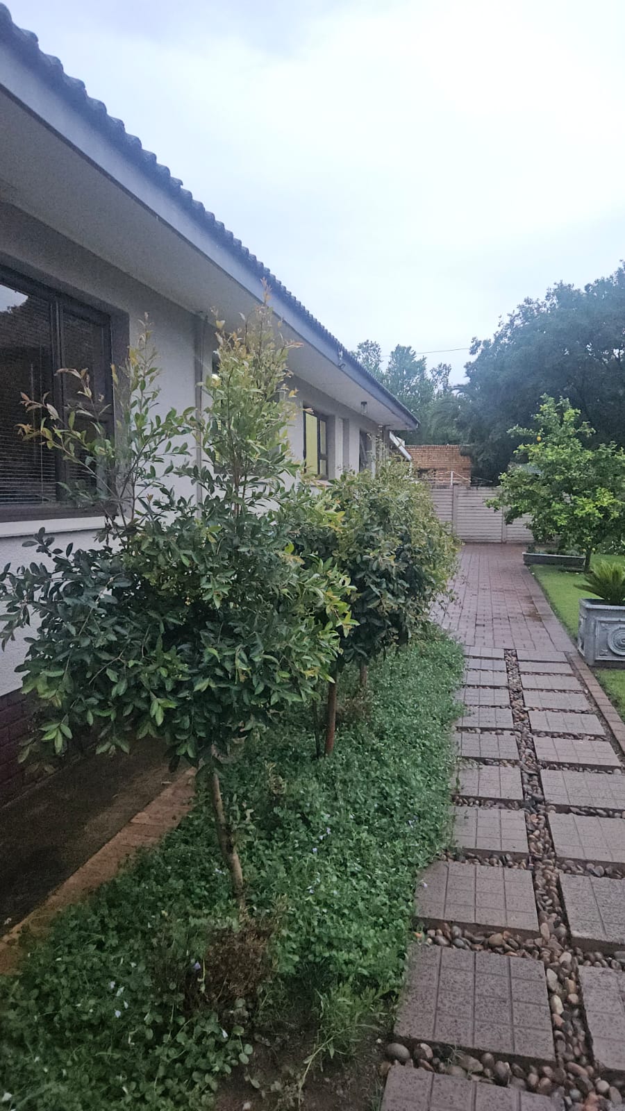 4 Bedroom Property for Sale in Pellissier Free State